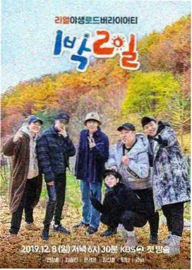 真人秀综艺节目